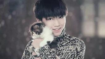 陈星宇重庆爆料最新消息,揭秘最新热点事件内幕